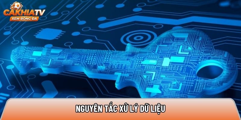 Nguyên tắc xử lý dữ liệu